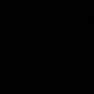 Meet your Posher, Bryant